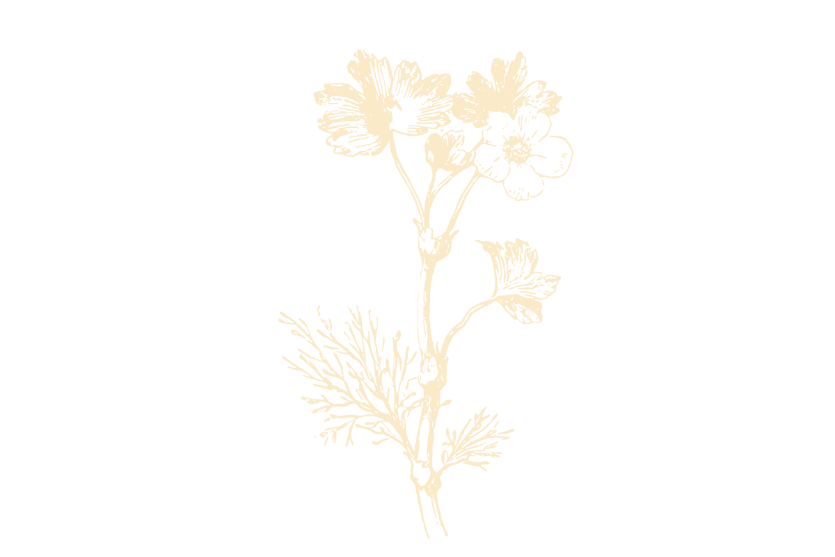 Atendimento individual